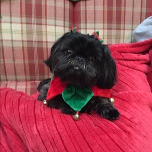 Meet your Posher, Debbie